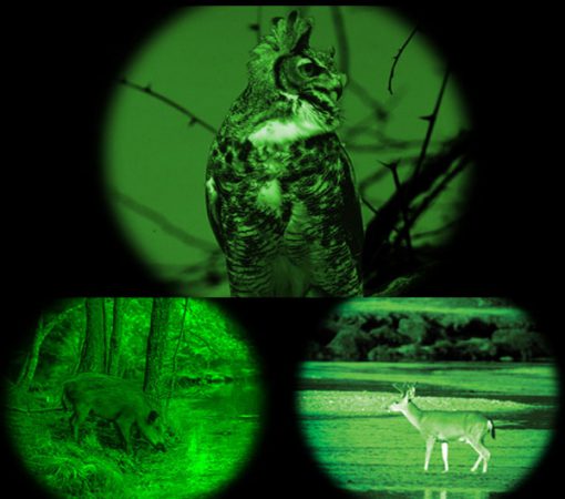 Long Distance Hunting Night Vision Binocular